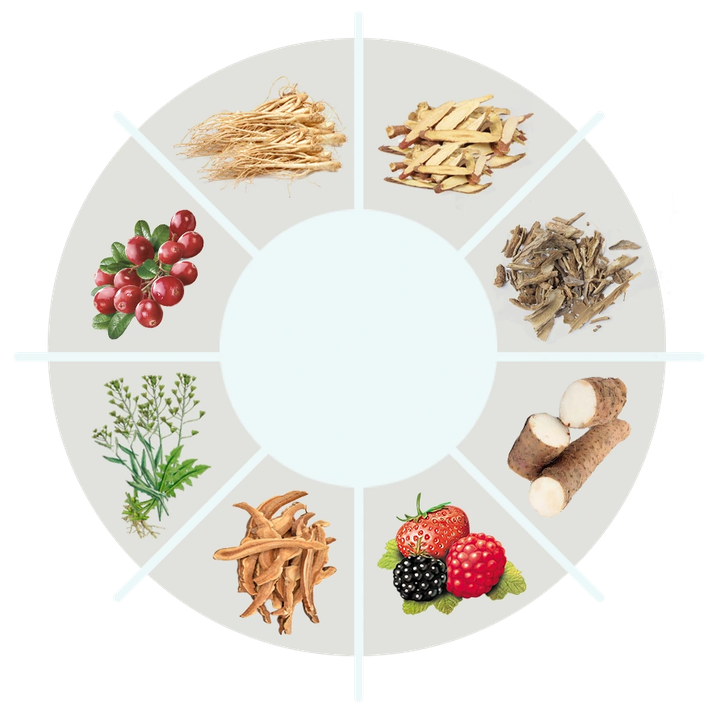 The brand's ingredients wheel: eight unlabeled pictures of berries, roots, bark, dried slices and a flowering herb